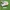 Adidas Munchen 24 photo 1