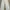 colorbox white mom jeans photo 3