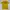 Nike Casual T-shirt Pria yellow photo 1