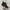 Rare Vans Sk8 High MTE Black Ballistic Scotchgard Original photo 1