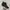 Rare Vans Sk8 High MTE Black Ballistic Scotchgard Original