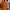 Shein Futurist Wanita Orange
