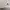 Converse Chuck Taylor 70s White photo 3