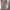 Fairy Prom dress Wanita cream photo 4