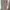 Fairy Prom dress Wanita cream photo 2