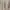 Fairy Prom dress Wanita cream photo 3