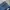 Final Home Blue Flower Leg Denim Pants photo 7