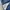 Final Home Blue Flower Leg Denim Pants