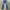 Final Home Blue Flower Leg Denim Pants photo 1