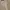 MICHAEL KORS Palm Lace Blouson Sleeve Dress photo 6