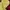 Minidress kuning photo 2
