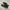 Vans Authentic Classic Full Black Triple Black Original photo 1