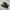 Vans Authentic Classic Full Black Triple Black Original