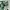 Minimalist Crop top Wanita white green photo 4