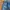 Levi's Vintage Streetwear Jeans Pria Navy Blue