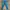 Levi's Vintage Streetwear Jeans Pria Navy Blue