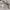 Zara Women Puffer Hoodie Vest photo 1