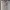 Zara Women Puffer Hoodie Vest photo 3