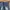 Levi's Vintage Streetwear Jeans Pria Navy Brown