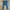 Levi's Vintage Streetwear Jeans Pria navy brown photo 5
