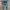 Levi's Vintage Streetwear Jeans Pria Navy Brown
