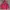 Nike Vintage Streetwear Hoody Pria Navy Red