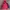 Nike Vintage Streetwear Hoody Pria navy red photo 4