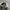 Adidas climate original - topi running adidas photo 6