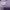 Lavender Daisy Knit Set - Coquette Dream photo 3