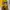Jersey Borussia Dortmund season 98/00 Home Long Sleeve photo 8