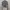 Kaos Turtle Neck Long Sleeve IMPOR CHINA photo 1