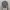 Kaos Turtle Neck Long Sleeve IMPOR CHINA