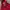 Puma Gorpcore Sportswear Windbreaker Pria red photo 2
