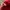 Puma Gorpcore Sportswear Windbreaker Pria red photo 6