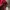 Puma Gorpcore Sportswear Windbreaker Pria red photo 7