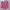 Celana pendek wanita pink  photo 3