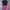 Celana Pendek Wanita Pink 