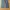 yuniyuni korean basic Cargo pants parachute photo 2