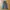 yuniyuni korean basic Cargo pants parachute photo 1