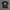 STUSSY X CHANEL SIZE M photo 1