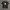 STUSSY X CHANEL SIZE M