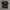 STUSSY X CHANEL SIZE M photo 3