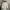 Champion coat/sherpa long unisex photo 1