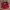 Adidas Streetwear Sportswear Jersey Pria White Red