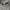 Nike Air jordan low mocha x travis scott jack cactus photo 2
