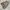 Spotex army camo vest multipocket photo 3