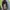 Steve madden B-total rainbow tote bag photo 5