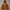 THE NORTH FACE HyVent Summit Series Gorpcore Outdoor Jacket photo 2