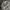 Polham Gorpcore Casual Puffer jacket Pria black photo 4