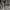 Polham Gorpcore Casual Puffer jacket Pria black photo 2